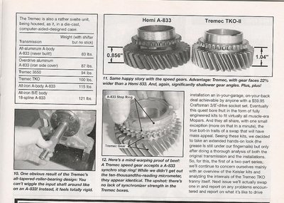 tremek5.jpg