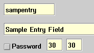 Attributes of Entry Field